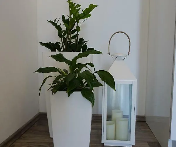 Maja Apartment *