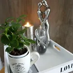Maja * Bol